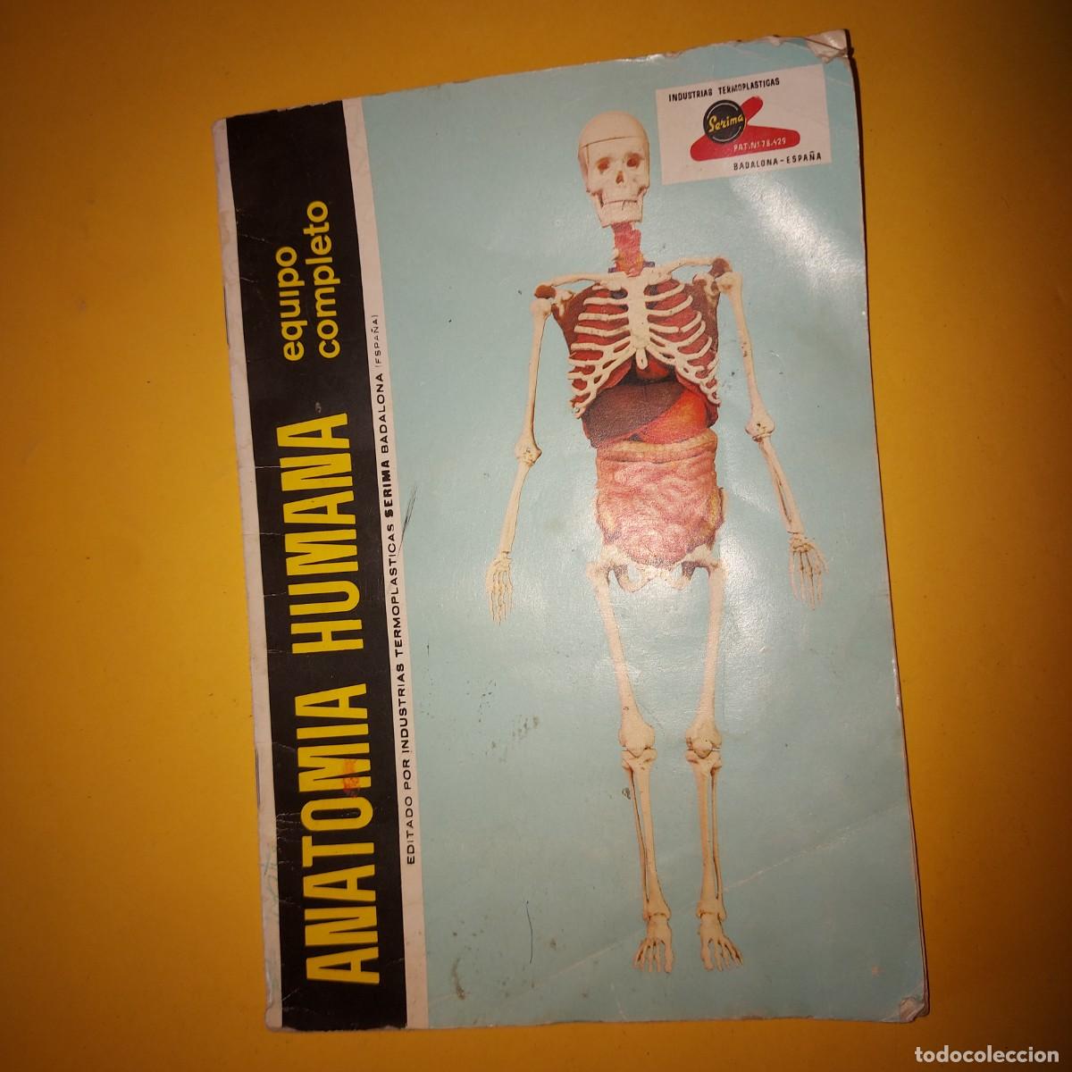 Juguetes antiguos: CATALOGO DE MONTAJE ANATOMIA HUMANA DE SERIMA