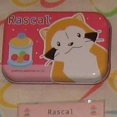 Mapache Rascal araiguma rascal el mapache latita y cards - Compra venta en todocoleccion