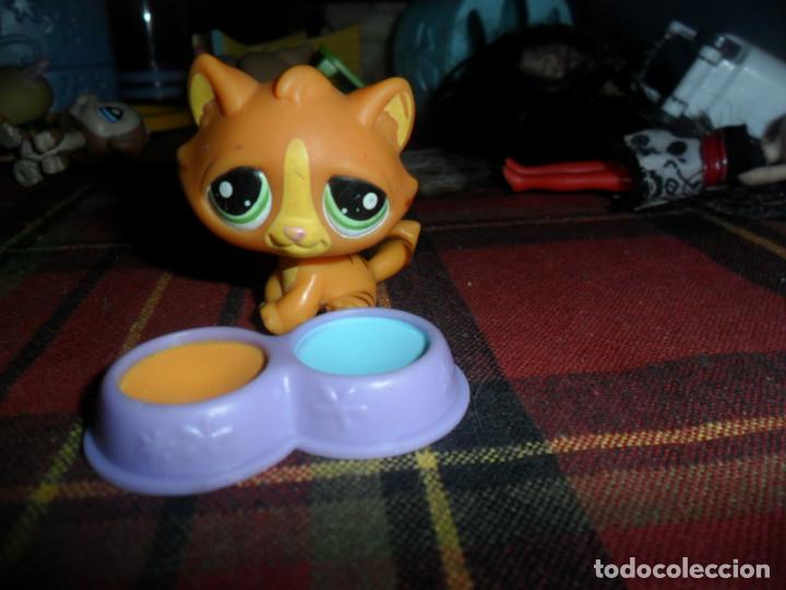 Juguetes antiguos y juegos de colecci&oacute;n: FIGURA LITTLEST PET SHOP - TIGRE (TIGER) N&ordm; 1267 - HASBRO 2009