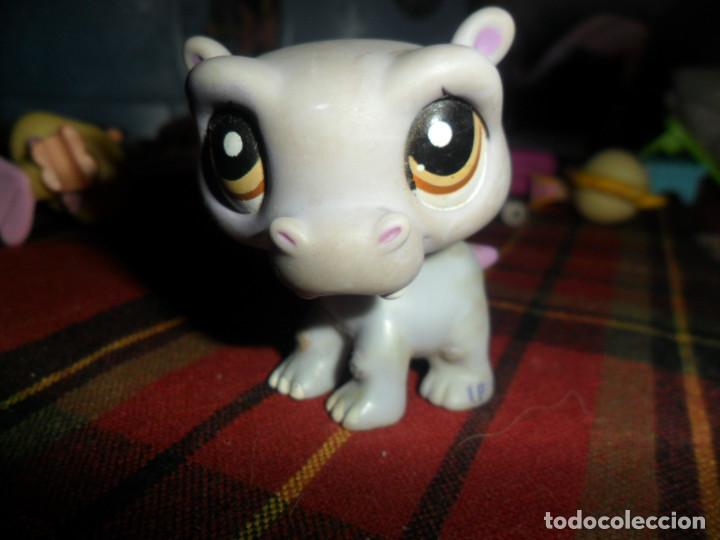 Juguetes antiguos y juegos de colecci&oacute;n: FIGURA LITTLEST PET SHOP - HIPOPOTAMO - HASBRO 2009