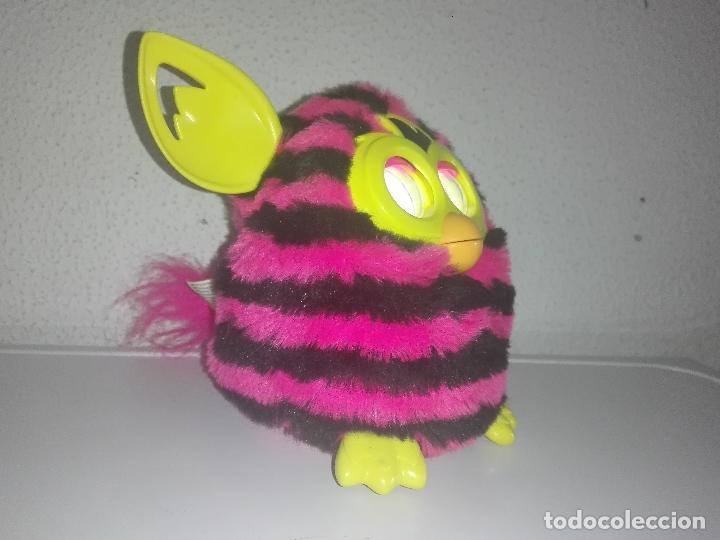 furby boom pink and black stripes