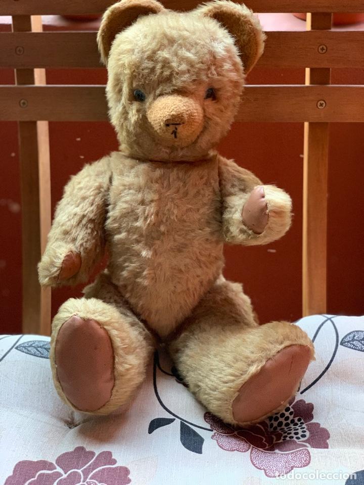 oso teddy antiguo