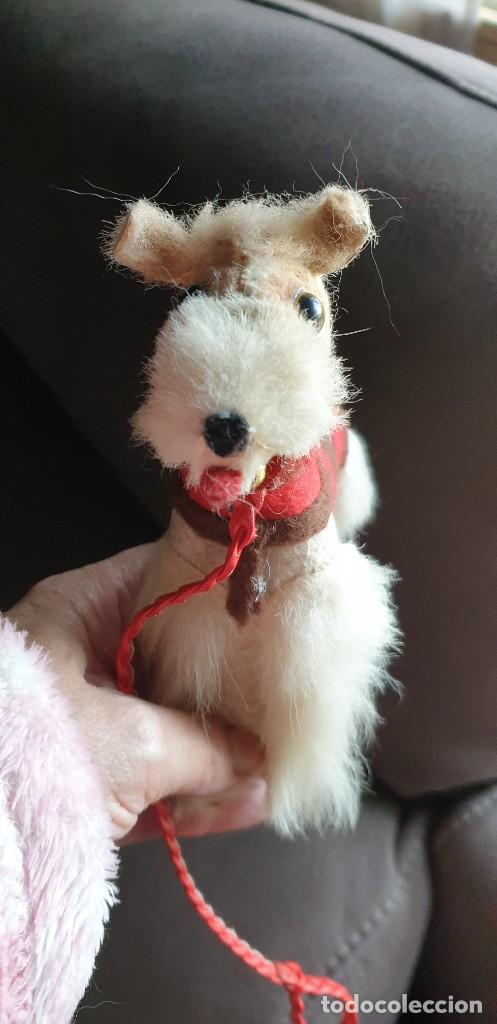 Juguetes antiguos y juegos de colecci&oacute;n: Perro fox terrier - Foto 2