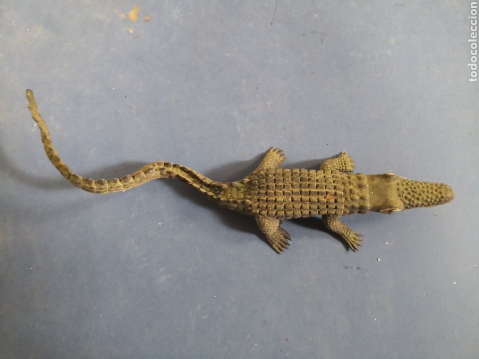 Juguetes antiguos y Juegos de colecci&oacute;n: Mu&ntilde;eco cocodrilo antiguo mu&ntilde;eco goma