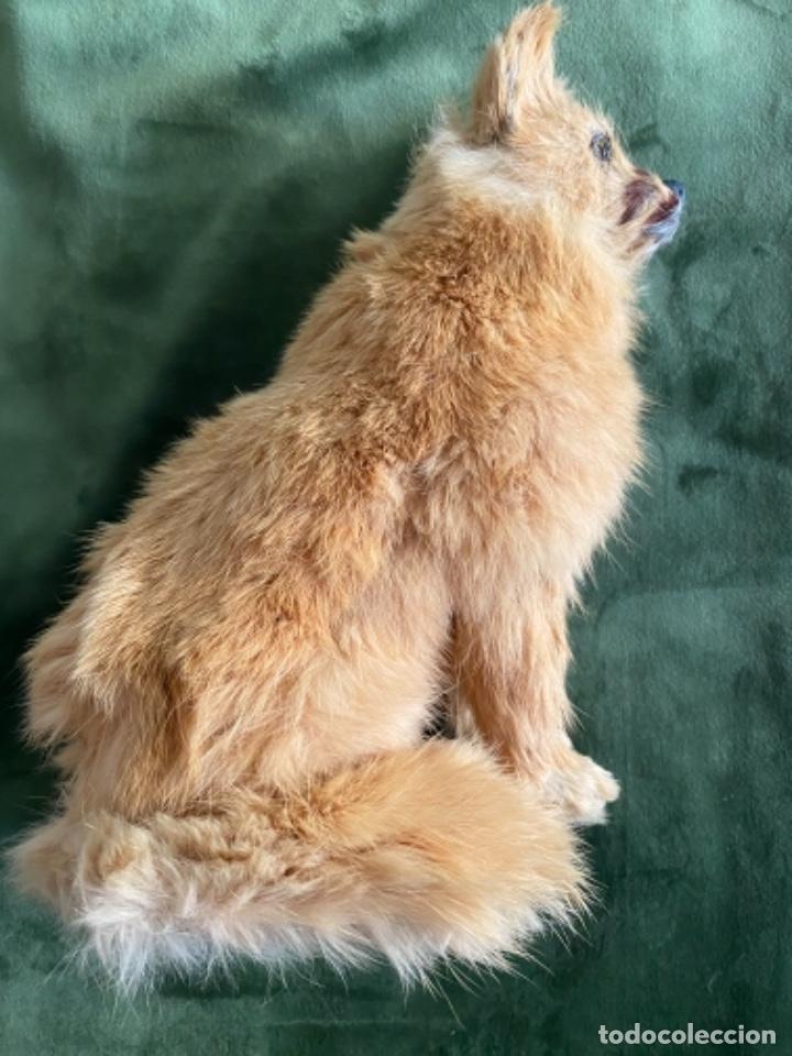 Juguetes antiguos y juegos de colecci&oacute;n: ANTIGUA FIGURA PERRO