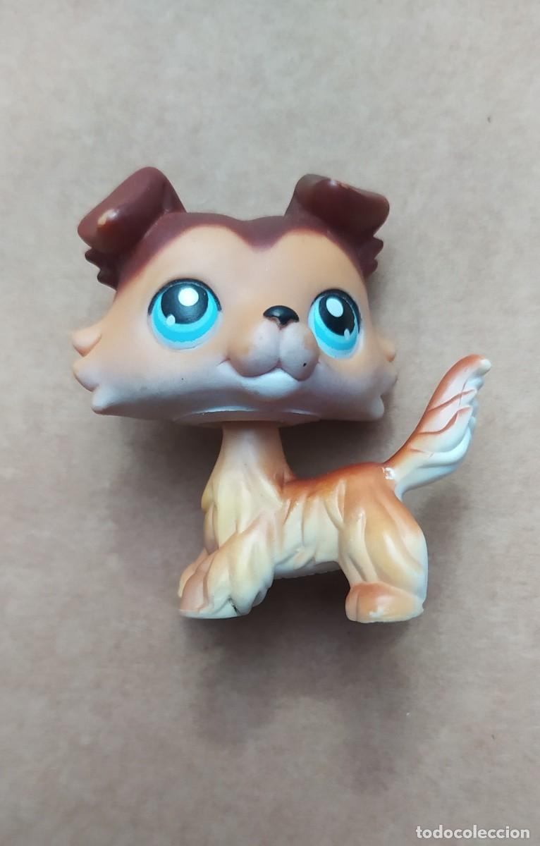 Perro Littlest Pet Shops Hasbro 06