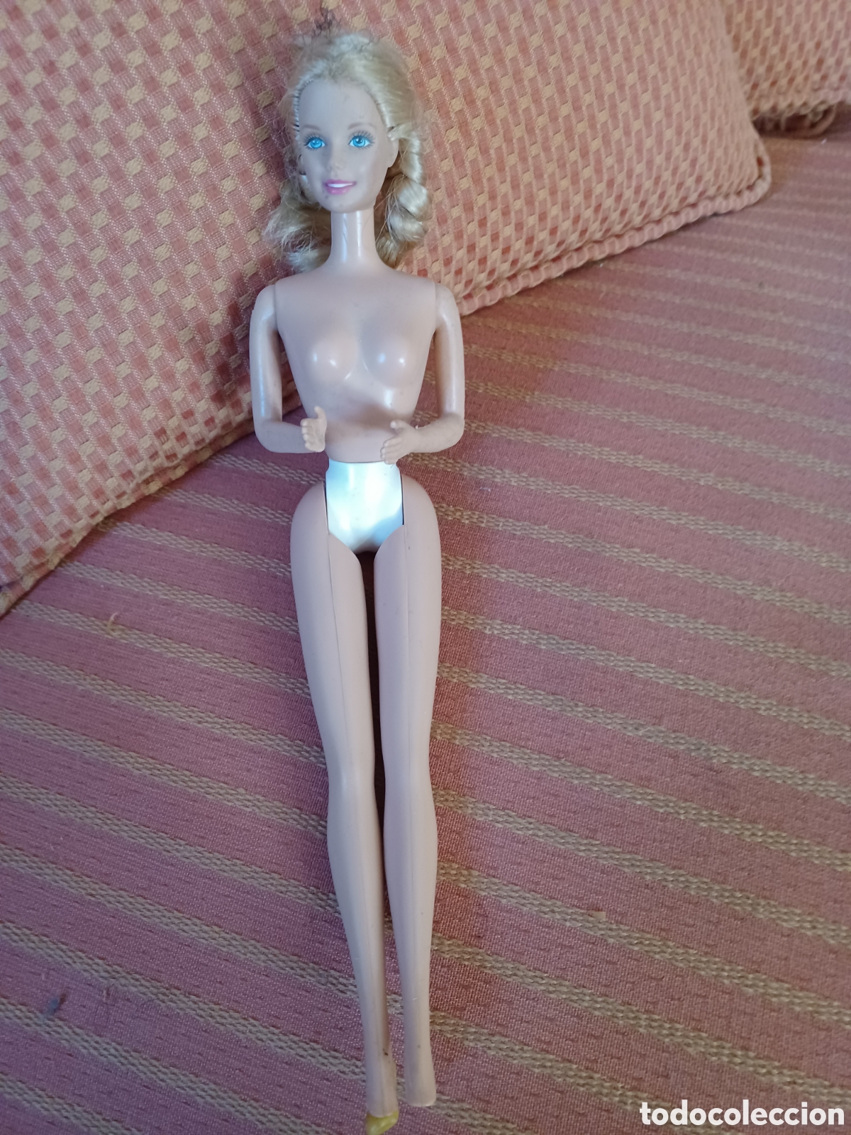 Barbi