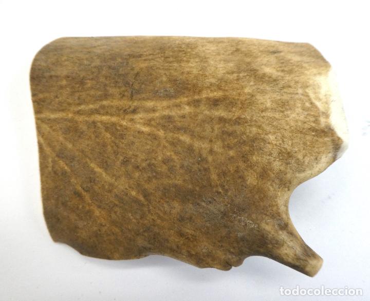 Juguetes antiguos y Juegos de colecci&oacute;n: Mordedor para perro de asta de Gamo natural