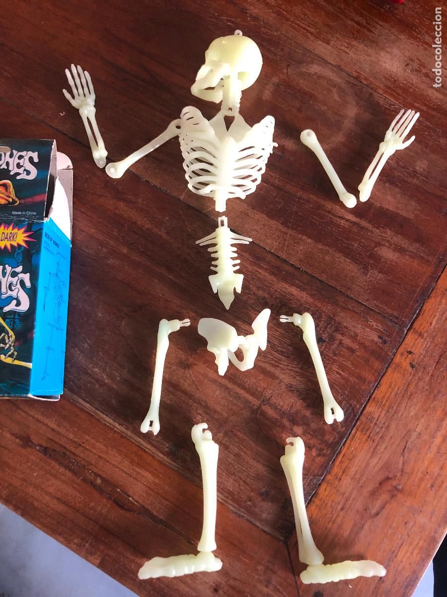 Juguetes antiguos y juegos de colecci&oacute;n: Toy Glow in the Dark Skeleton Box of Bones