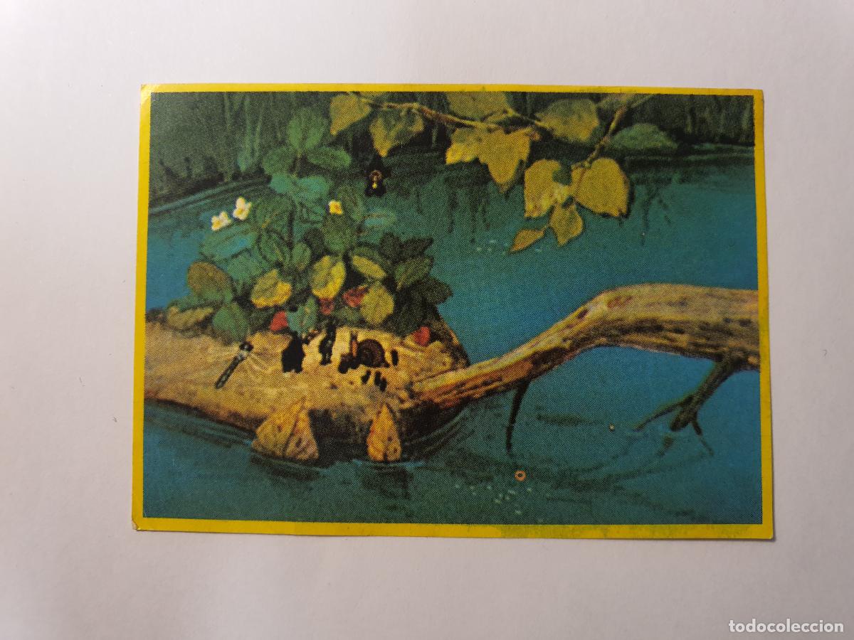 Juguetes antiguos y Juegos de colecci&oacute;n: CROMO DANONE - LAS AVENTURAS DE LA ABEJA MAYA -- N&ordm; 87