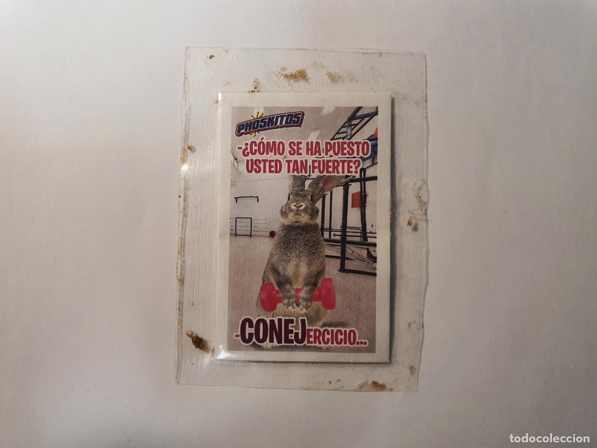 Juguetes antiguos y Juegos de colecci&oacute;n: CROMO PHOSKITOS - CONEJERCICIO - PRECINTADO
