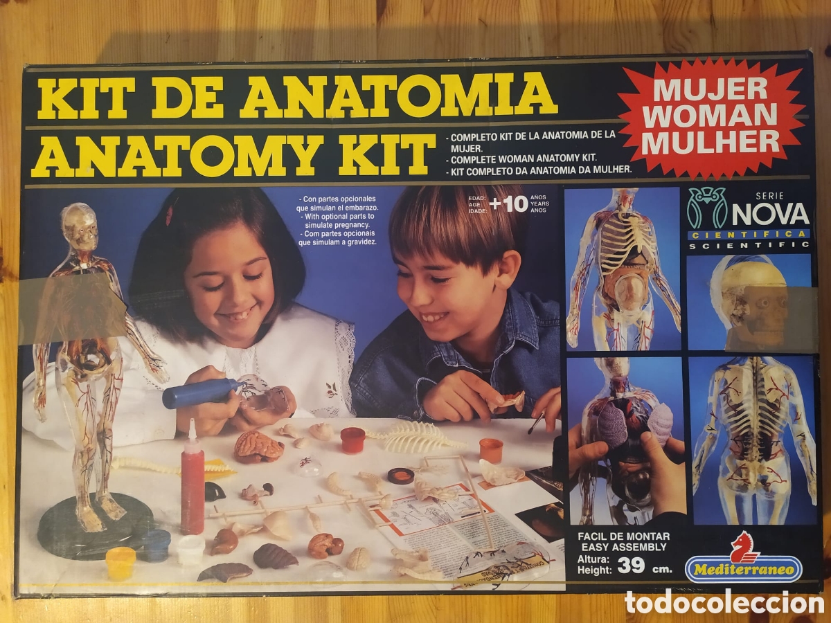 Brinquedos antigos e Jogos de cole&ccedil;&atilde;o: Kit anatomia mujer Mediterraneo serie nova