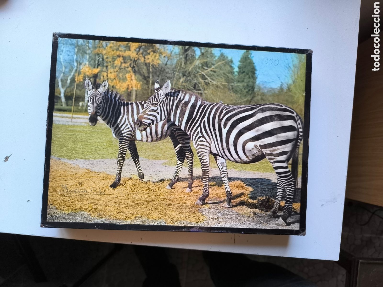 Juguetes antiguos y Juegos de colecci&oacute;n: Rompecabezas zoo a&ntilde;os 70/80