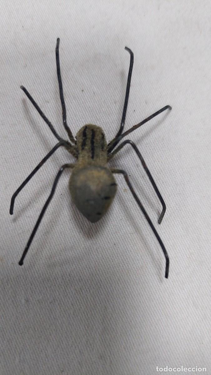 Juguetes antiguos y Juegos de colecci&oacute;n: Antiguo ara&ntilde;a de broma pintada a mano