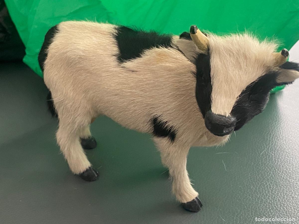 Juguetes antiguos y juegos de colecci&oacute;n: FIGURA VACA REALISTA CON PELAJE HOLSTEIN