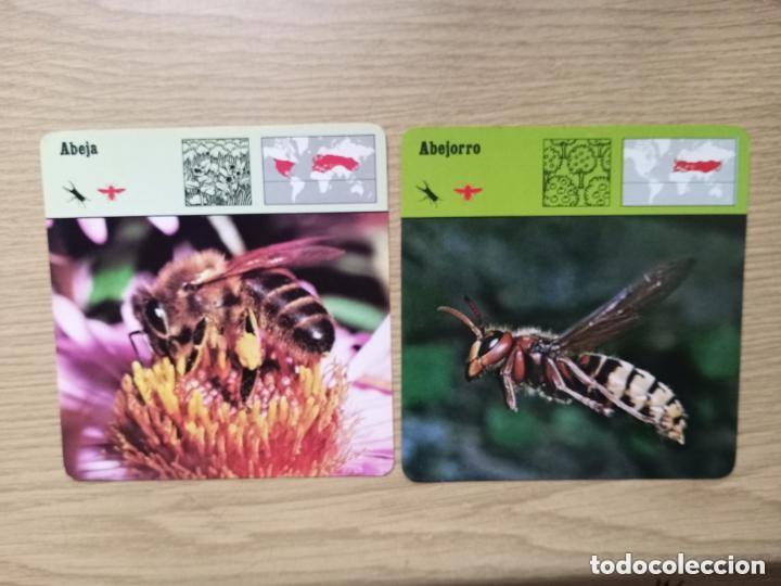 Juguetes antiguos y juegos de colecci&oacute;n: FICHAS ANIMALES - ABEJA - ABEJORRO