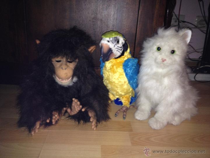 animales de peluche reales