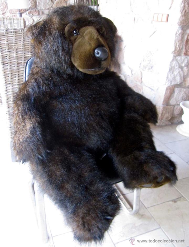 oso negro de peluche