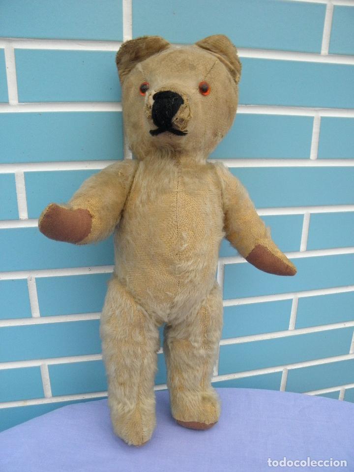 oso teddy antiguo