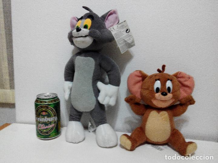 tom and jerry teddy