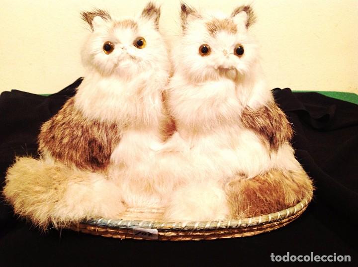 Juguetes antiguos: Pareja De Gatitos - Foto 1
