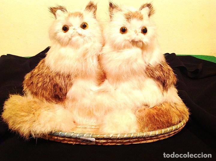 Juguetes antiguos: Pareja De Gatitos - Foto 2