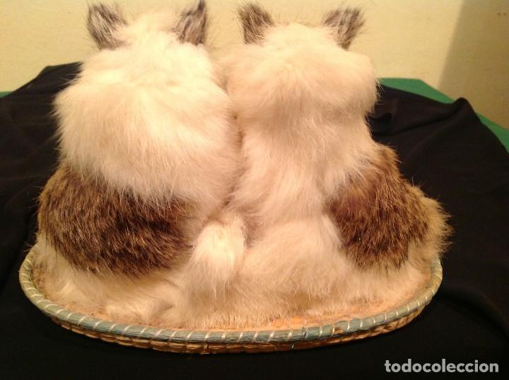 Juguetes antiguos: Pareja De Gatitos - Foto 3