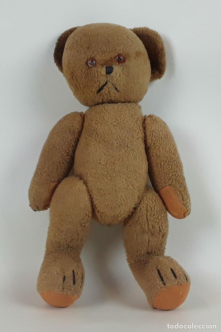 libro. teddy bears - Buy Teddy bears and other plush and soft toys on  todocoleccion