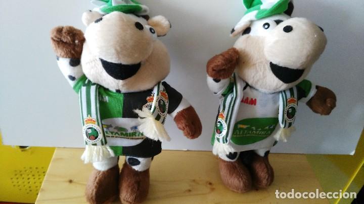 mascota - real racing club santander - slam - a - Buy Teddy bears and other  plush and soft toys on todocoleccion
