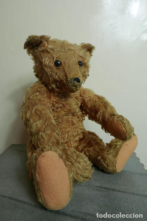 oso teddy antiguo