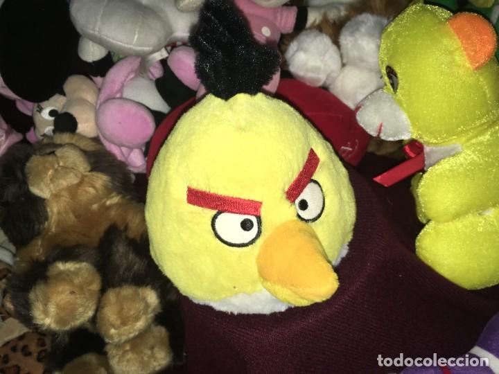 angry bird teddy bear