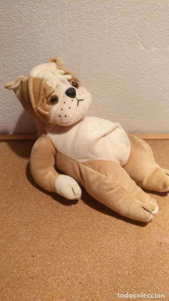 peluche bulldog