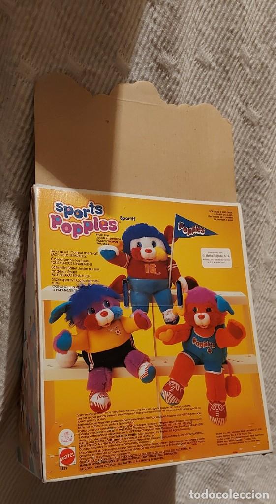 popple teddy bears