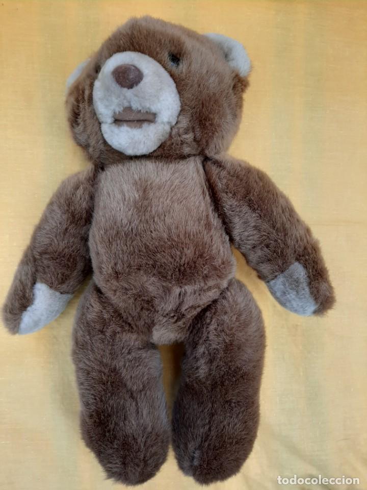Juguetes antiguos: OSOS TEDDY DE COLECCI&Oacute;N - Foto 3