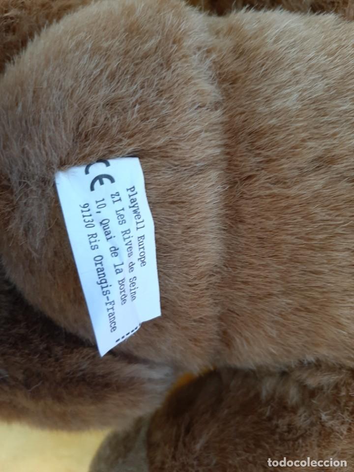 Juguetes antiguos: OSOS TEDDY DE COLECCI&Oacute;N - Foto 5