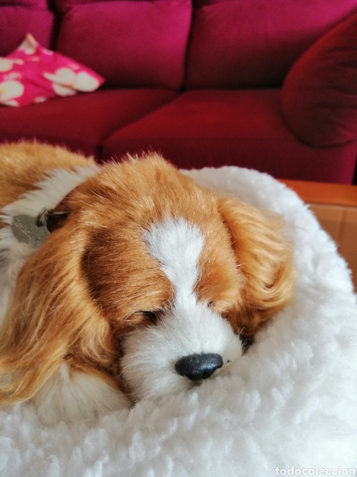 Juguetes antiguos: Precioso perrito - Foto 2