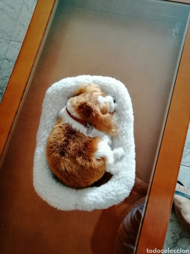 Juguetes antiguos: Precioso perrito - Foto 3