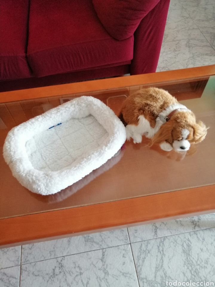 Juguetes antiguos: Precioso perrito - Foto 4