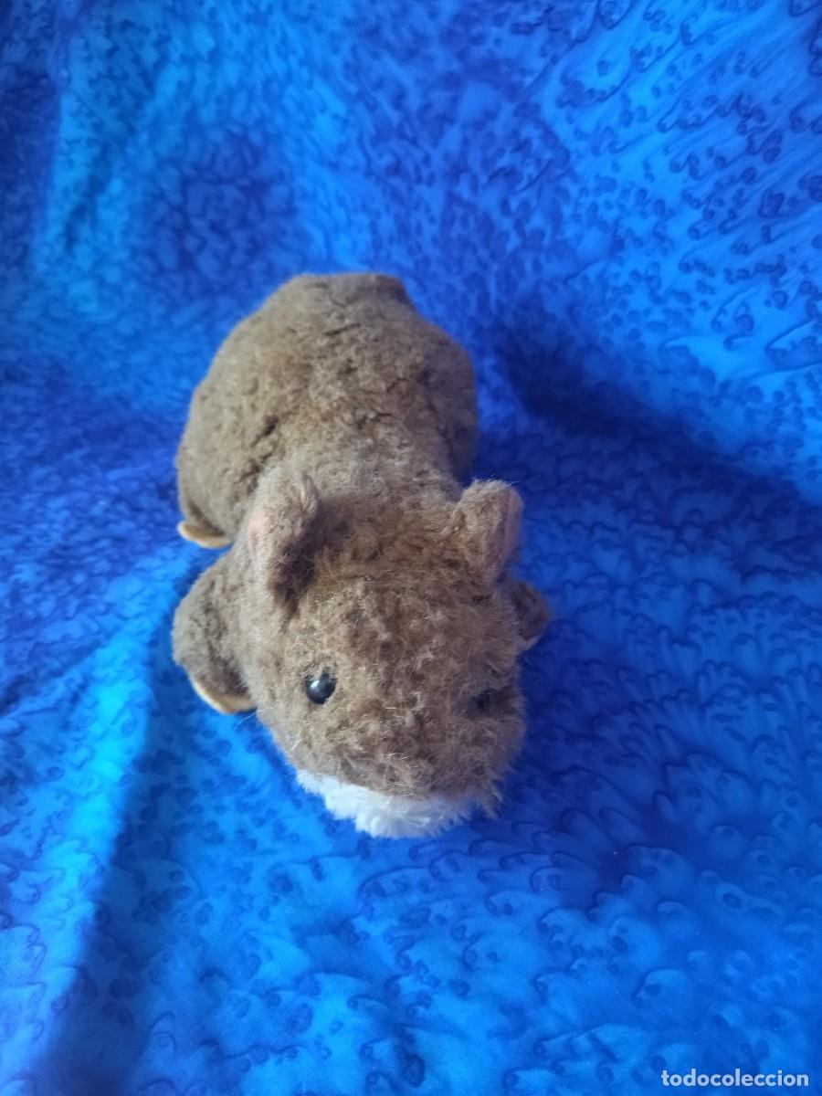 Juguetes antiguos: Vombatidae de peluche. - Foto 1