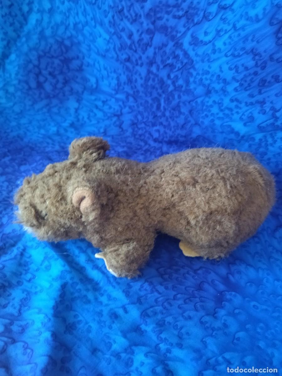 Juguetes antiguos: Vombatidae de peluche. - Foto 5