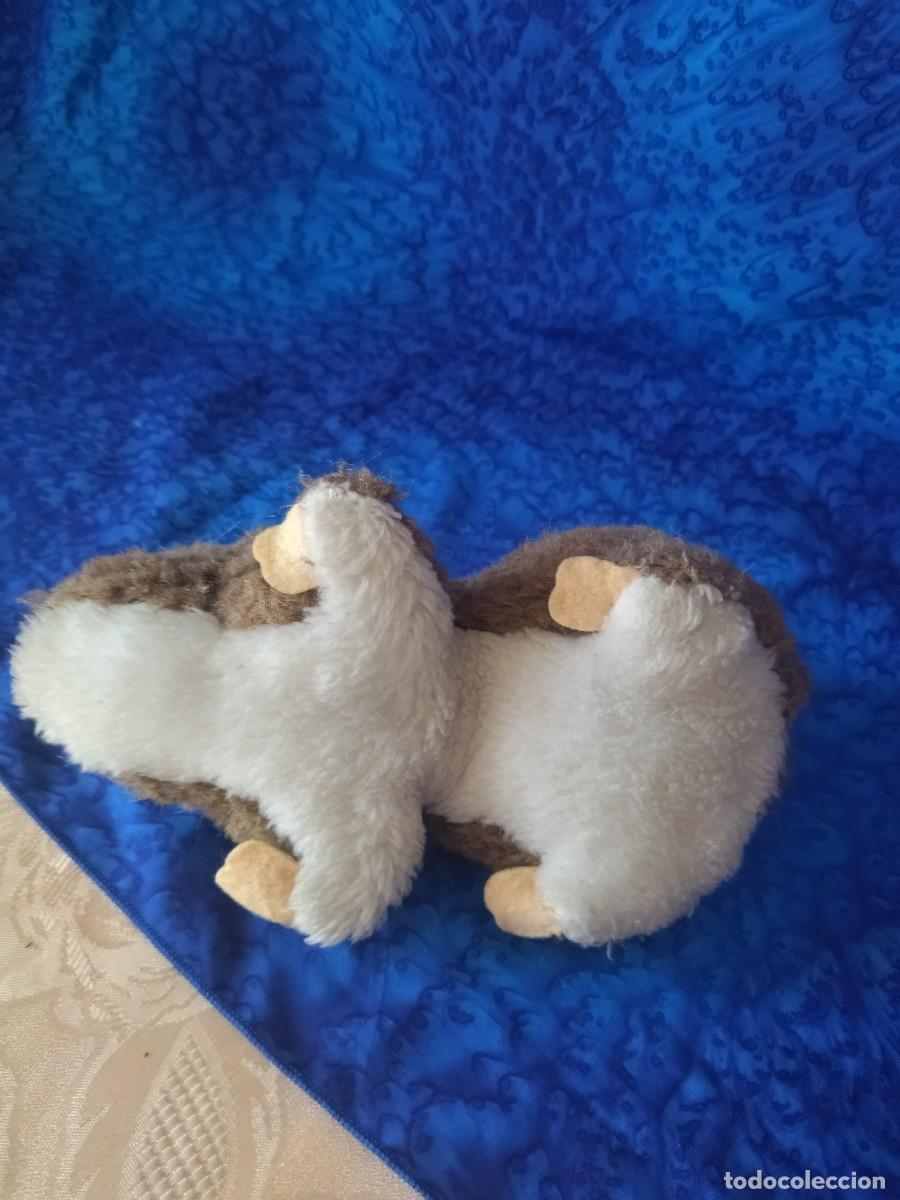 Juguetes antiguos: Vombatidae de peluche. - Foto 6
