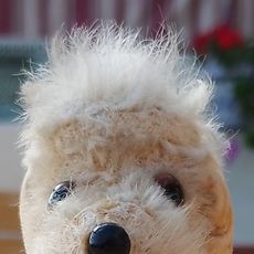 Caniche en laine fait main - Vintage Caniche en laine fait main - Vintage