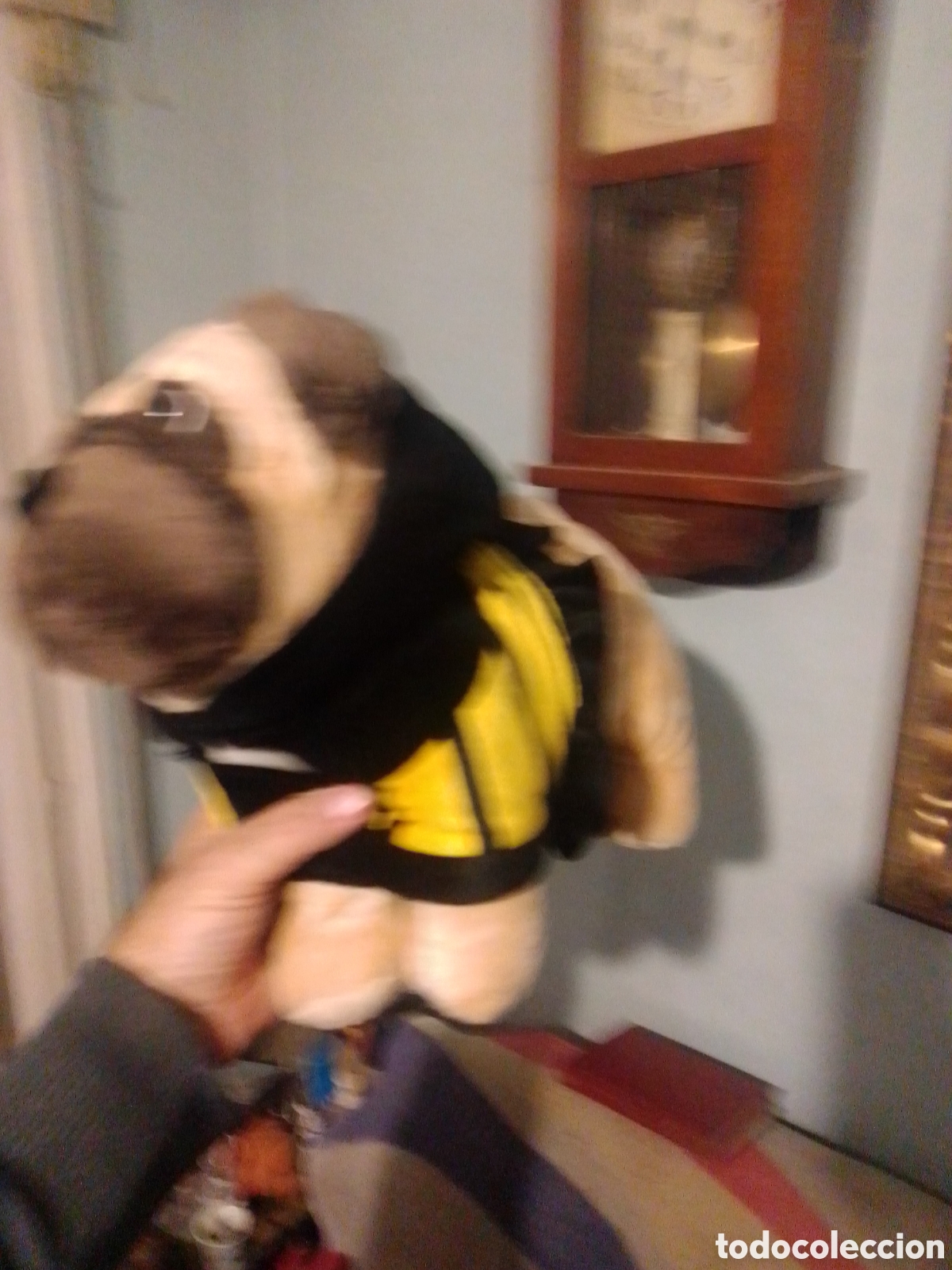 Juguetes antiguos: Peluche perro Carlino - Foto 3