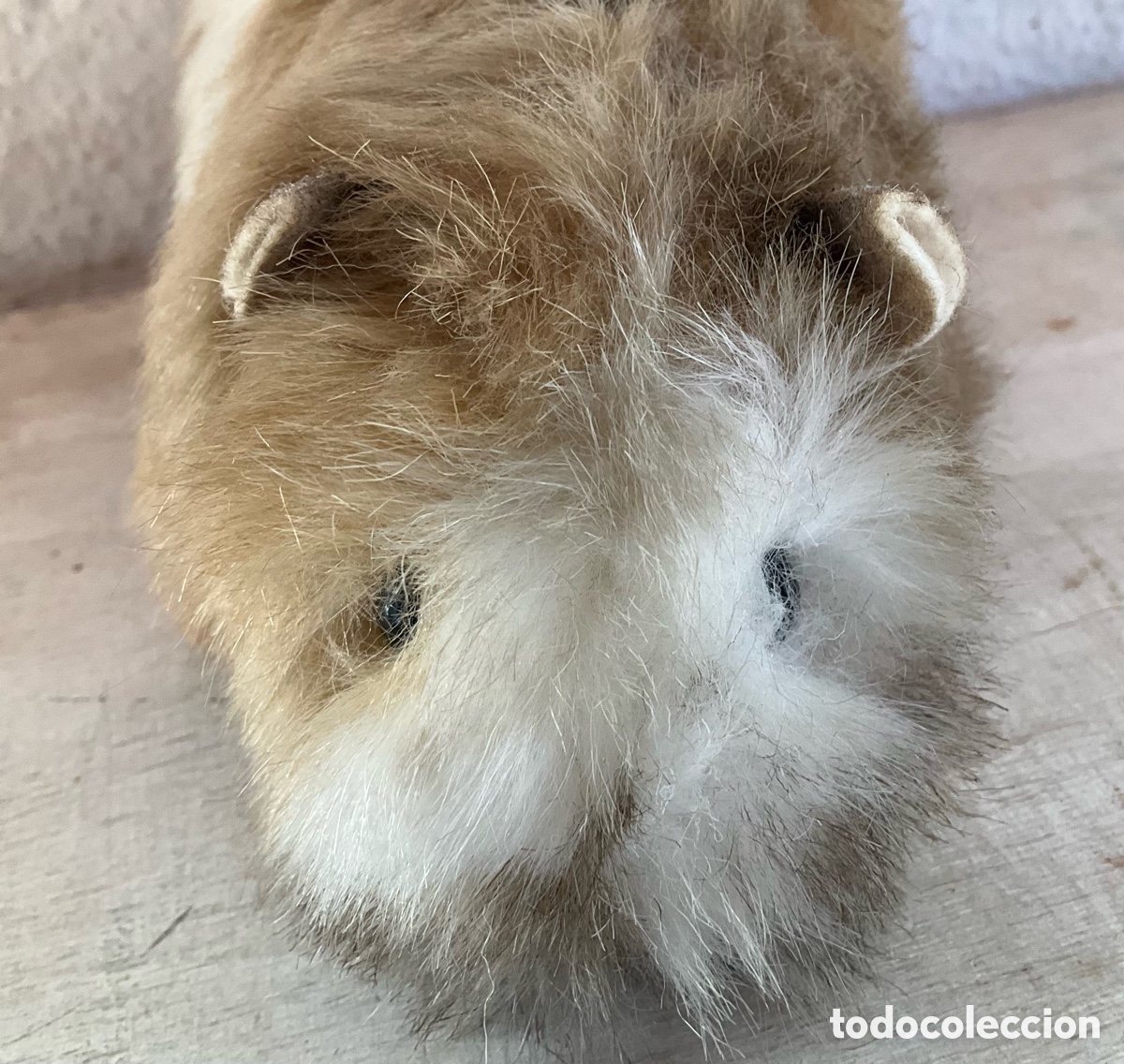 Jouets Anciens: Conejillo de indias de Hermann, peluche coleccionable.