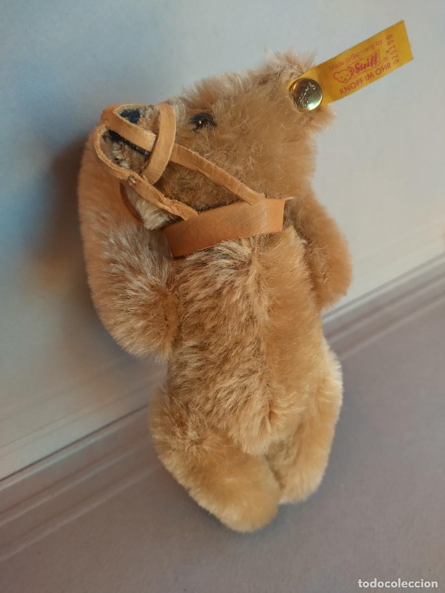 Juguetes antiguos: Steiff Maulkorb Teddy &ndash; Teddy with Muzzle - Foto 7