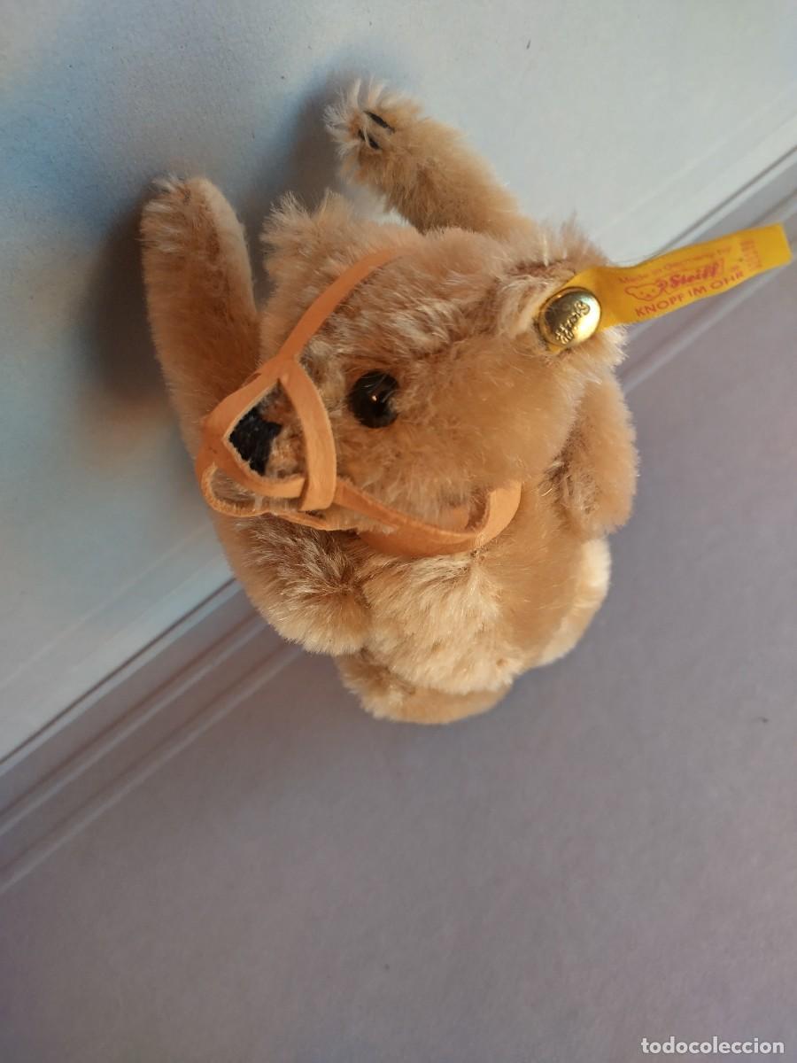 Juguetes antiguos: Steiff Maulkorb Teddy &ndash; Teddy with Muzzle - Foto 8