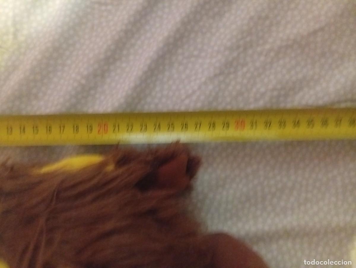 Juguetes antiguos: Peluche................ - Foto 6