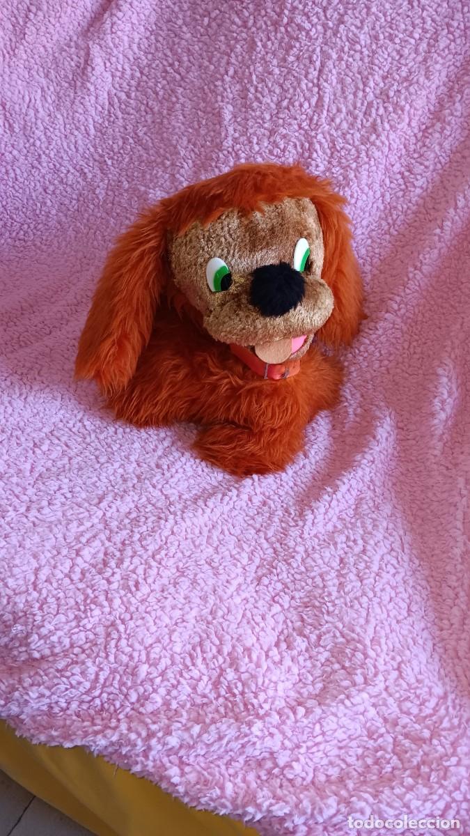 Juguetes Antiguos: GRACIOSO PERRO DE FELPA O PELUCHE CASALS . NO VICENTE VIDAL .NO QUIRON. 1972.