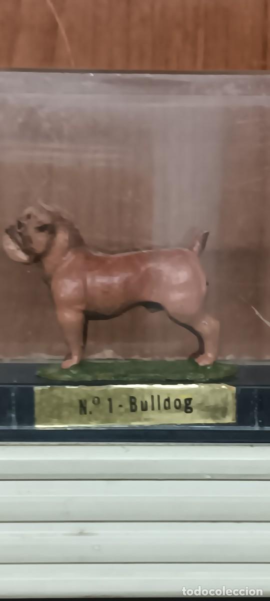 Giochi Antichi: BULLDOG n&ordm;1 RAZAS DE PERROS ALYMER ESC.33