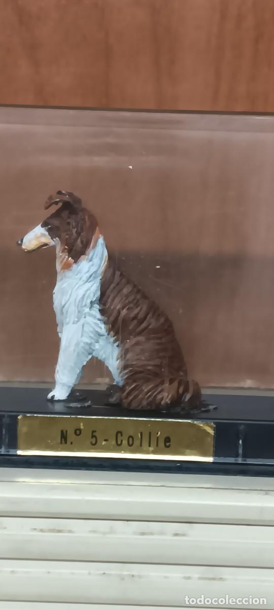 Jeux Anciens: COLLIE n&ordm;5 RAZAS DE PERROS ALYMER ESC.33